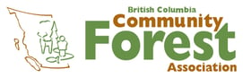 BCCFA Logo