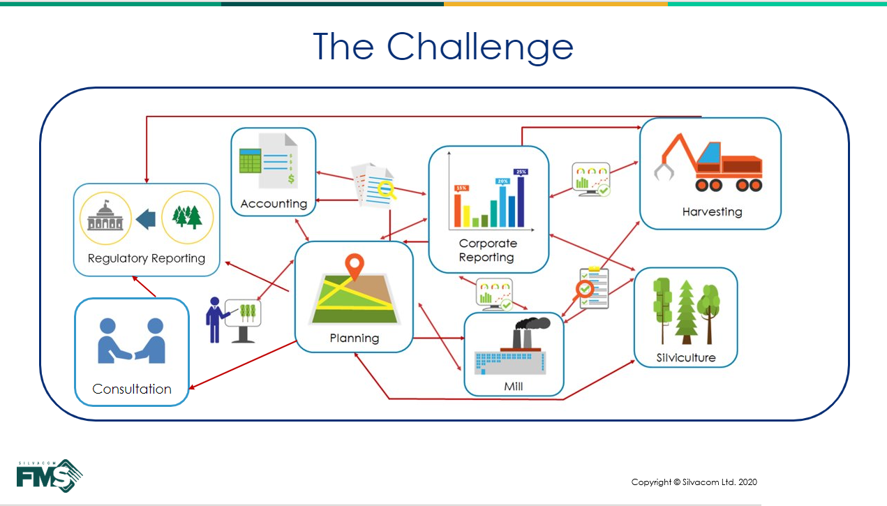 forestry management challenges