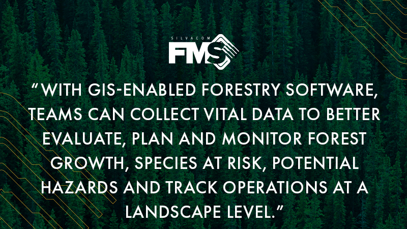 With GIS-enabled forestry software, teams can collect vital data to better evaluate, plan and monitor forest growth, species at risk, potential hazards and track operations at a landscape level.